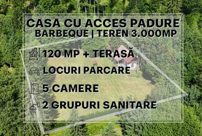 Casă cu 5 camere cu Teren 3000 Mp în Avrig - 1