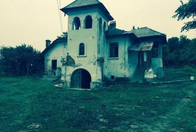 Teren de vanzre in Pitesti 53.000 mp + Conac Boieresc - 10