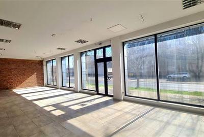 Spațiu comercial, de 485 mp, în Șagului - 8