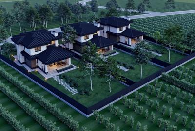 Bucium - Visan, locuinta impresionanta, P+E, design modern - 6