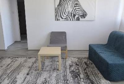 Apartament cu 2 camere semidecomandat în Domenii - 4