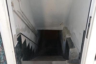 Spațiu comercial, de 400 mp, în Boul Roșu - 2