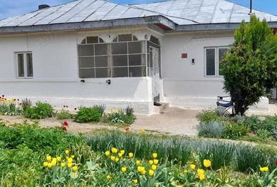 Casa 3 camere - Zorile Comuna Gradinari - 2