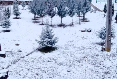 Casă cu 2 camere în Mânzălești - 9