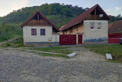 Casă cu Teren 1900 Mp în Laslea