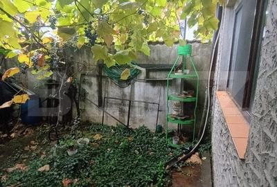Apartament cu 3 camere si curte de 166 mp in proprietate, zona Rudului - 11