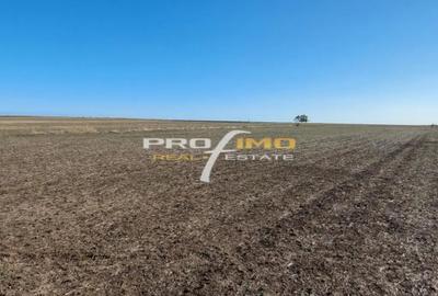 Teren de 1600 mp, în Central