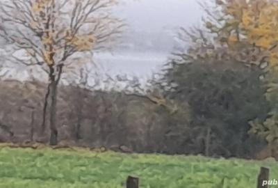 Vand casa aproape de dunare - 1