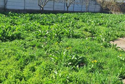 Casă cu 3 camere cu Teren 916 Mp în Central - 18