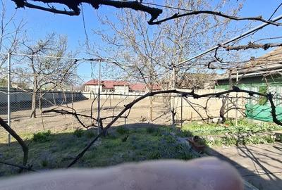 Casă cu 6 camere cu Teren 2095 Mp în Nădlac - 1