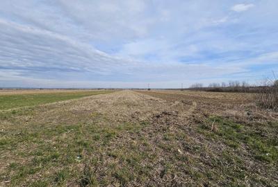 Spațiu comercial, în Potlogeni-Vale - 8