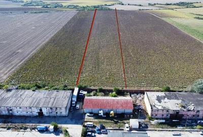 Teren de 10000 mp, în Dumbrăvița