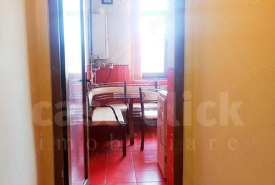 Apartament spatios 1 camera, ultracentral - 5