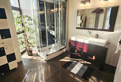 Duplex cu 9 camere cu Canalizare în Albert - 20