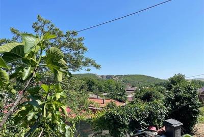 Casa de vanzare zona Alexandru cel Bun Tulcea - 4