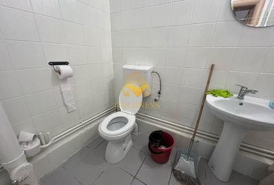 Spatiu de birouri, P+1+M, Decebal, Parcul Feroviarilor, Horea, Traian - 3