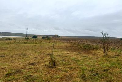 Vanzare 10.000 mp teren Liteni Suceava- la strada -potrivit proiect fonduri - 9