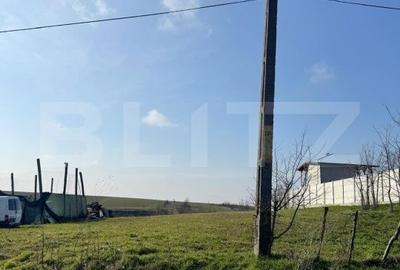 Spațiu comercial, în Bucovăț - 4