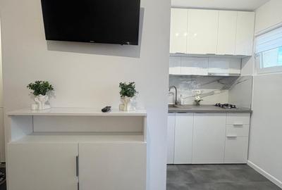 1 Decembrie 1918 - 8 minute Metrou, Garsoniera LUX - 2