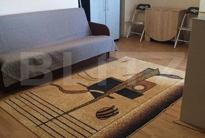 Apartamentde vanzare, cu 2 camere,  39 mp, cartier Bradet - 3