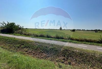 Teren Construcții intravilan de 20561 mp, în Vest - 4