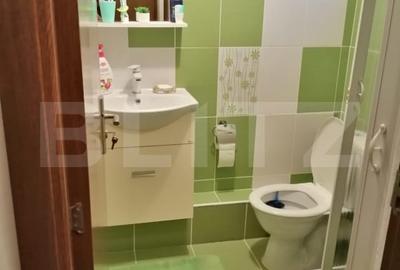 Apartament cu 3 camere, decomandat, 46 mp, Sebes - 6