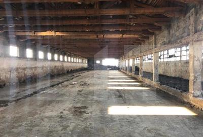 Ferma de vanzare in jud. Covasna, suprafata teren 4824 mp Ferma de vanzare in jud. Covasna, suprafata teren 4824 mp - 10