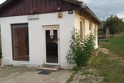 Casă cu Teren 1705 Mp în Zam - 5
