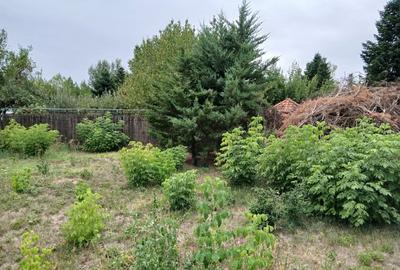 Vladiceasca, Snagov - 1