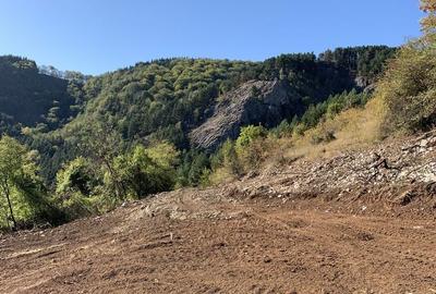 Teren de 5000 mp, în Baia de Fier - 4
