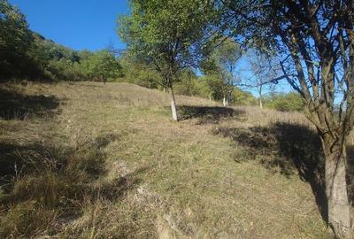 14075 mp teren partial intravilan, cu acces la utilitati - Criscior 14075 mp teren partial intravilan, cu acces la utilitati - Criscior - 8