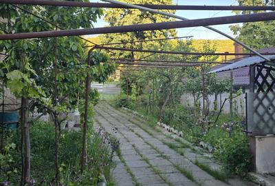 Casă cu 4 camere în Sărata - 5
