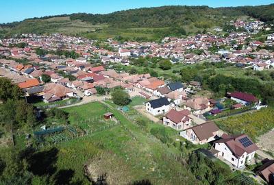 Teren de 842 mp, în Est - 3