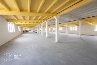 Spațiu industrial, de 1,094 mp, în Exterior Vest - 8