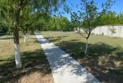 Casă cu 8 camere cu Teren 5000 Mp în Malu Mare - 8