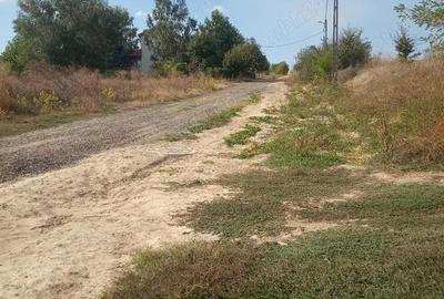Teren de 1500 mp, în Telița - 8