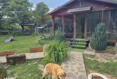 Casă cu 3 camere cu Teren 1268 Mp în Săpânța - 5