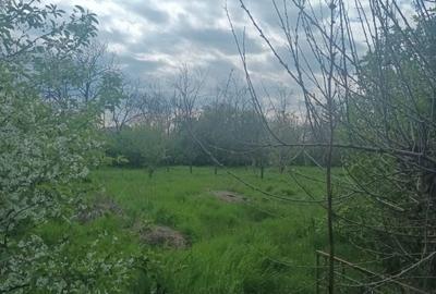 Casă cu 4 camere în Mihălceni - 3