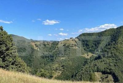 Teren de 5185 mp, în Sebeș