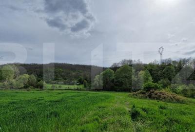 Teren de 120000 mp, în Brădești - 3