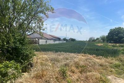 Teren extravilan Campineanca / Strada Mihai eminescu