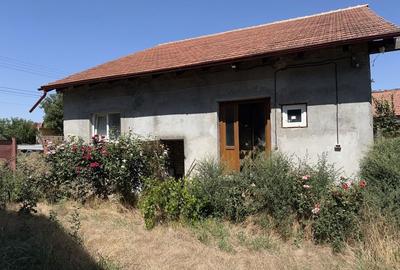 Casă cu 3 camere în Bulgăruș - 3