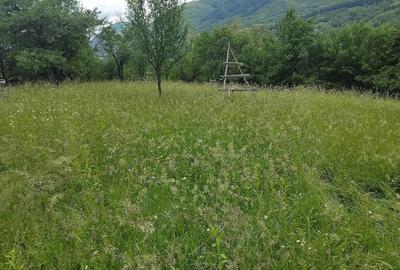 Teren de 1200 mp, în Valea Doftanei - 5