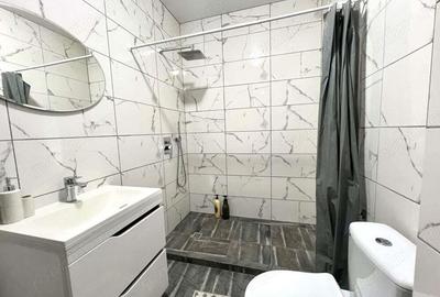 Se inchiriaza apartament cu o camera in cartierul Zorilor - 2