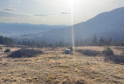 Spațiu comercial, în Roșu - 3