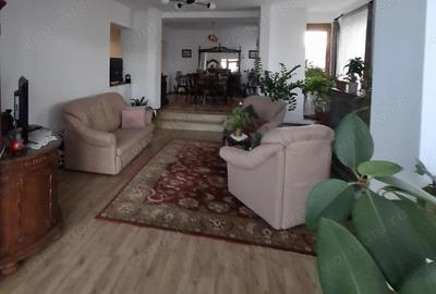 Sanandrei Casa [Parter] 6 Camere Anexa Garaj -Teren Generos - 10