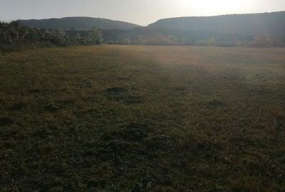 Teren de 3200 mp, în Bănești - 5