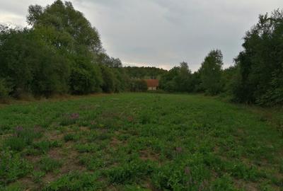 Casă cu 2 camere cu Teren 2000 Mp în Julița - 2