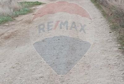 Teren Construcții intravilan de 2374 mp, în Cheriu - 7