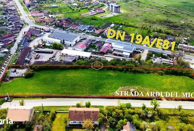 Teren de 12180 mp, în Burdea - 2